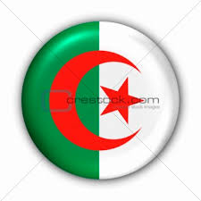 مصر vs الجزائر في نصف نهائي أمم أفريقيا 2010 (تقديم اللقاء + تغطية المباراة) 461871-xs