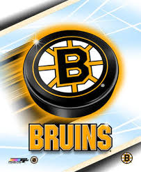 Boston Bruins �Black \x26amp; Yellow�