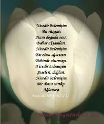 http://t0.gstatic.com/images?q=tbn:hSX0qiuIG4FAhM:http://site.mynet.com/katus/mynet_resimlerim/ataol.siir.jpeg