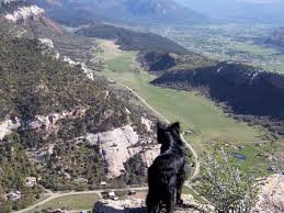 sherry mae taylor colorado