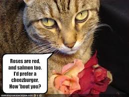 Funny Valentines Day