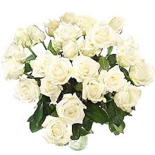 اجعل حياتك وردة بيضاء Roses-long-stem-white