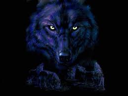 الذئب Nitewolf56-NightWolf