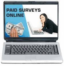 350 Paid Online Survey
