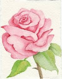 how to paint roses
