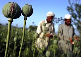 afghan-opium-polytricks.jpg