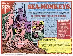 sea monkeys