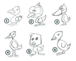 how to draw cartoon animals