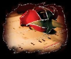 Mostra immagine a dimensione intera