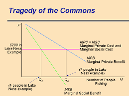The Tragedy of the Commons is