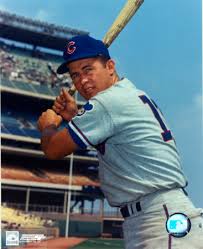 chicago cubs ron santo