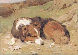 WallsWilliamSleepingColli.jpg