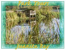 No trip to Juanita Bay Park is