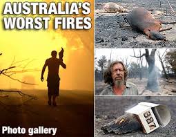 victorian bushfires
