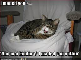 snarky cat is snarky