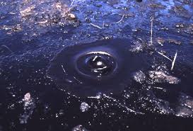 Petroleum seep