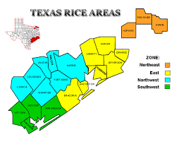 Texas Rice Crop Survey.