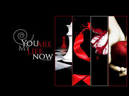 Directors of Twilight Saga