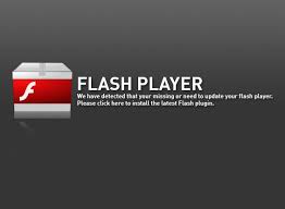 Download Flash Player 10