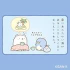 ぺんぎん（本物）