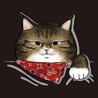 猫ですけどなにか？