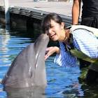 加藤沙耶香