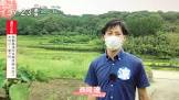 西岡遼