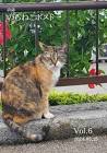 のらのねこ