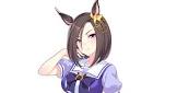 エアグルーヴ (ウマ娘)