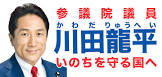 川田龍平