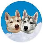 りりここたんねる。