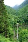 安居昇