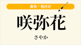 北澤咲弥花