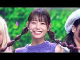 八田芽奈