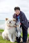わさお (秋田犬)