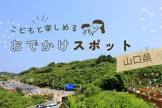 タニー山口