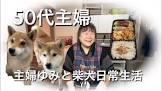 50代主婦ゆみ柴犬チャンネル