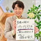瀬田宙大