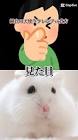 純白の天使ラフレシア