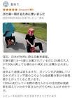 動あり