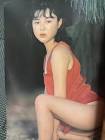 沙羅樹