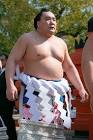 日馬富士公平