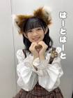 石井泉羽