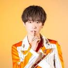 気まぐれﾌﾟﾘﾝｽ (アイドル)