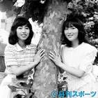 加藤晴子 (あみん)