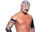 BUSHI