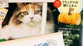 ねこミミらいふ