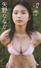 矢野ななか