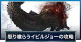 怒り喰らうイビルジョー