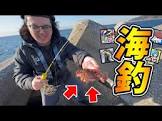 オパシ (Youtuber)